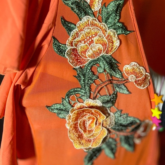 Zaful Floor Length Orange Gown w/Floral Embroidered Appliqués, Sheer Bust Sz L - Picture 4 of 8
